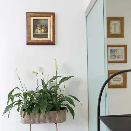 Гостевой дом Rochinha Cozy