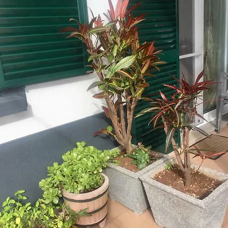 Rochinha Cozy 3* Funchal (Madeira)