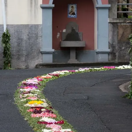 Rochinha Cozy Funchal (Madeira)