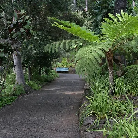 Pensión Rochinha Cozy 3*