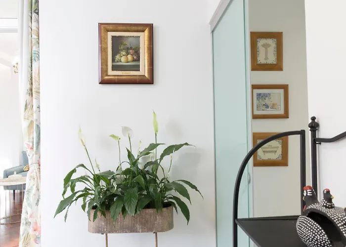 Affittacamere Rochinha Cozy