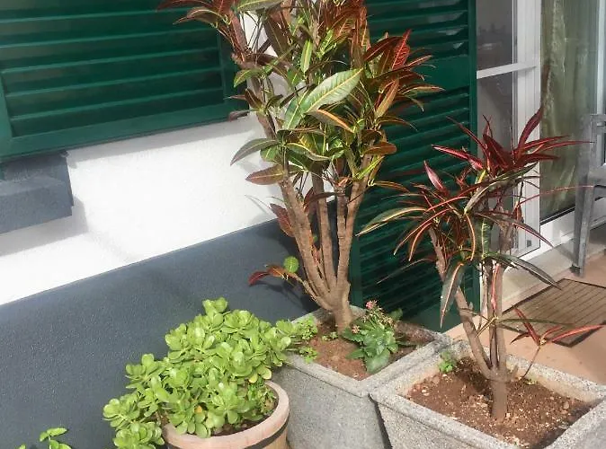 Rochinha Cozy 3* Funchal (Madeira)